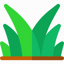 草