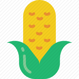 <em>玉米芯</em>