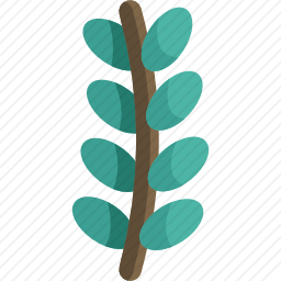 树枝