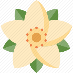 <em>一品红</em>