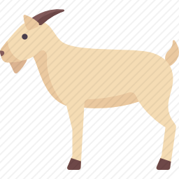 山羊