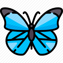 <em>蝴蝶</em>