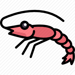 虾
