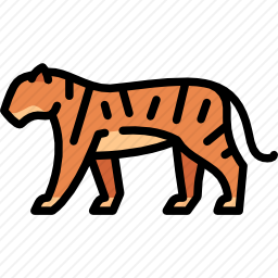 <em>老虎</em>