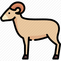 <em>绵羊</em>