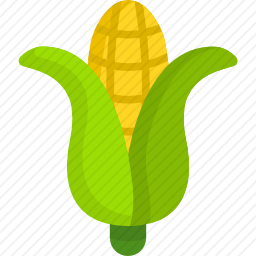 <em>玉米</em>