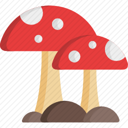 <em>蘑菇</em>