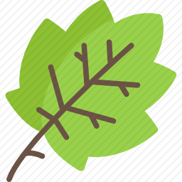 <em>叶子</em>