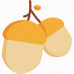 <em>橡子</em>