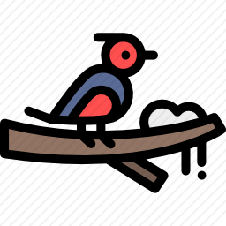 鸟