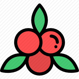 槲寄生