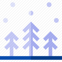 <em>森林</em>