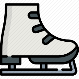 <em>溜冰鞋</em>