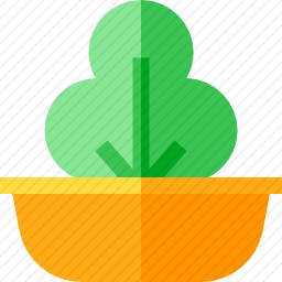 <em>植物</em>