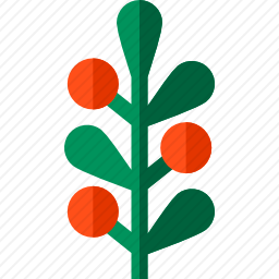 植物