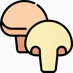 蘑菇