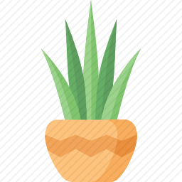 植物