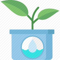 植物
