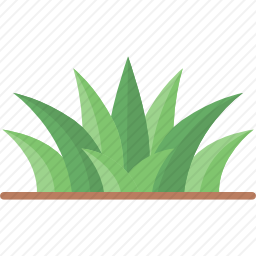 草