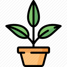 植物