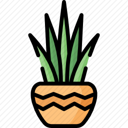 植物