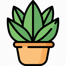 植物
