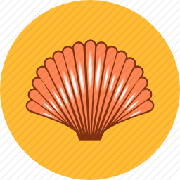 贝壳