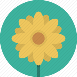 <em>花</em>