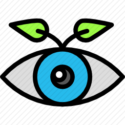 眼睛