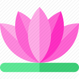 莲花