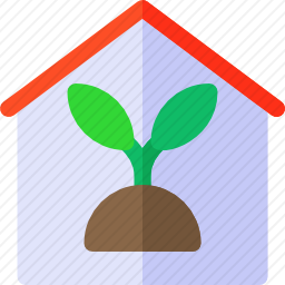 室内植物