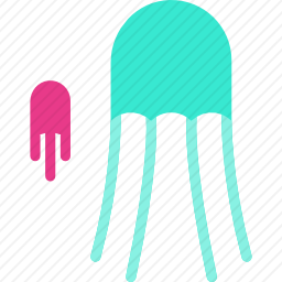 <em>水母</em>