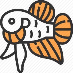 <em>鲤鱼</em>
