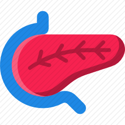 胰腺