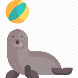 海豹