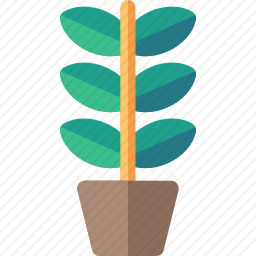 植物