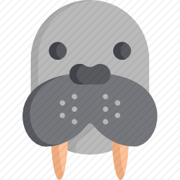 海象