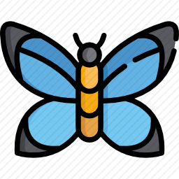 <em>蝴蝶</em>