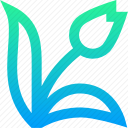 <em>花</em>