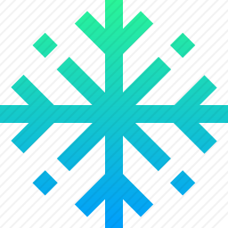 <em>雪花</em>