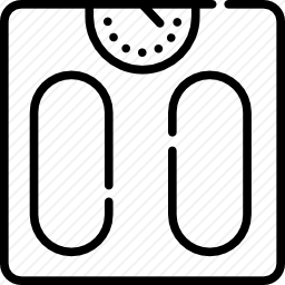 <em>体重秤</em>