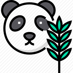 <em>大熊猫</em>