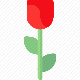 <em>玫瑰</em>