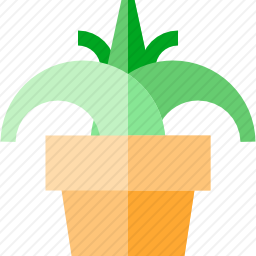 <em>植物</em>
