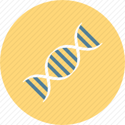 DNA