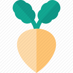 <em>萝卜</em>