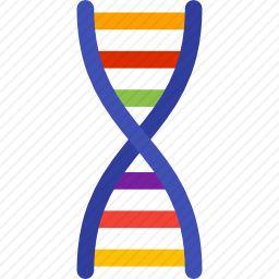 DNA