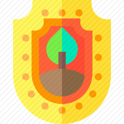 保护