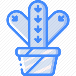 <em>仙人掌</em>