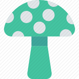 蘑菇